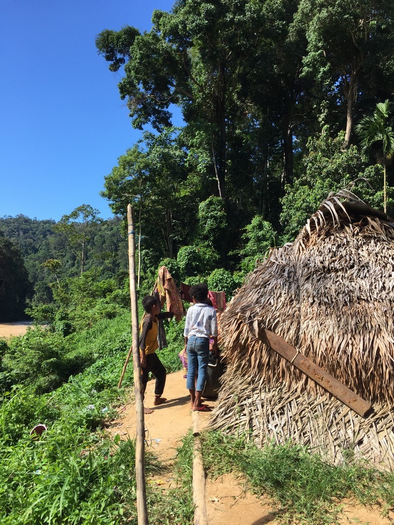 タマンネガラ国立公園 マレーシア 17 06 ２ 発展するアジアと都市と広大な熱帯雨林とのギャップを体感