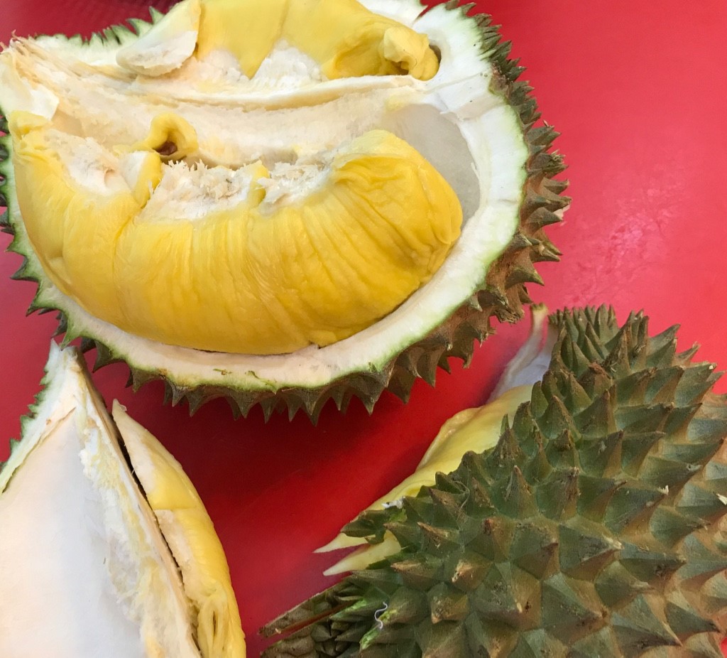ドリアン（Durian is King of Fruit）