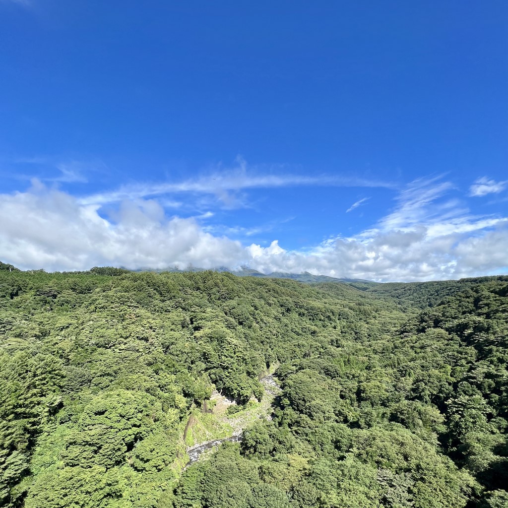 初秋の八ヶ岳 清里 独り言 取材で久しぶりに訪れて季節の移り変わりを感じます 初秋の八ヶ岳 清里 独り言 取材で久しぶりに訪れて季節の移り変わりを感じます
